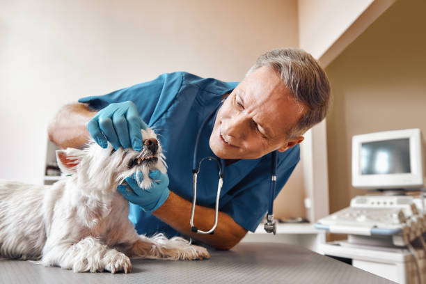 Best Emergency Dentist for Knocked-Out Tooth in Riverton, NJ
